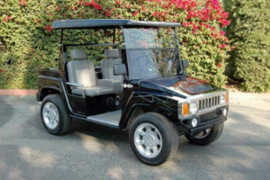 affordable golf cart rental, golf cart rent atlantic beach golf cart rental